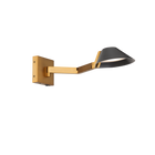 Pavilion Task Light