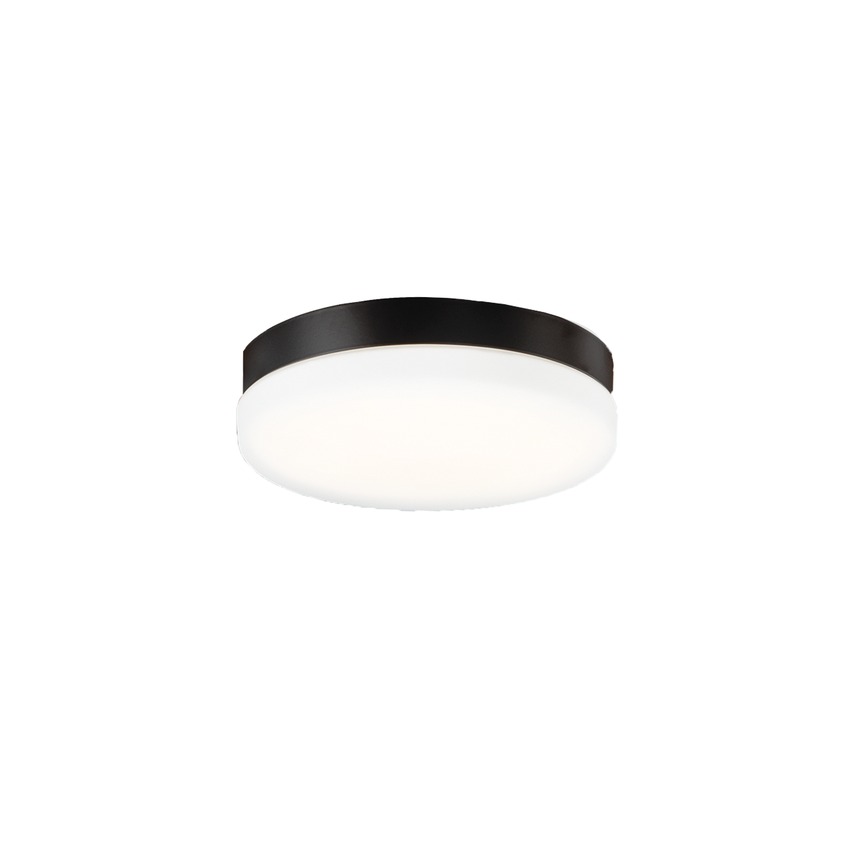 Aviator Luminaire Matte Black