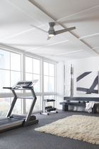 Tip-Top Ceiling Fan Flush Mount