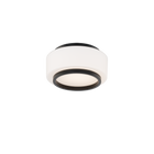 Preston Flush Mount