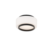 Preston Flush Mount