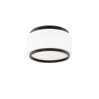Preston Flush Mount
