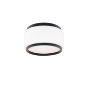 Preston Flush Mount