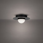 Landed Flush Mount - Black detail