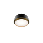 Salvo Ceiling Mount 9in Black/Aged Brass