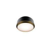 Salvo Ceiling Mount 9in Black/Aged Brass
