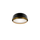 Salvo Ceiling Mount 12in Black/Aged Brass