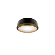 Salvo Ceiling Mount 12in Black/Aged Brass