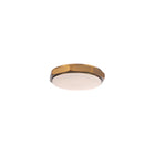 Grommet Flush Mount 13in Antique Brass