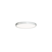 Argo Flush Mount 11in Brushed Nickel