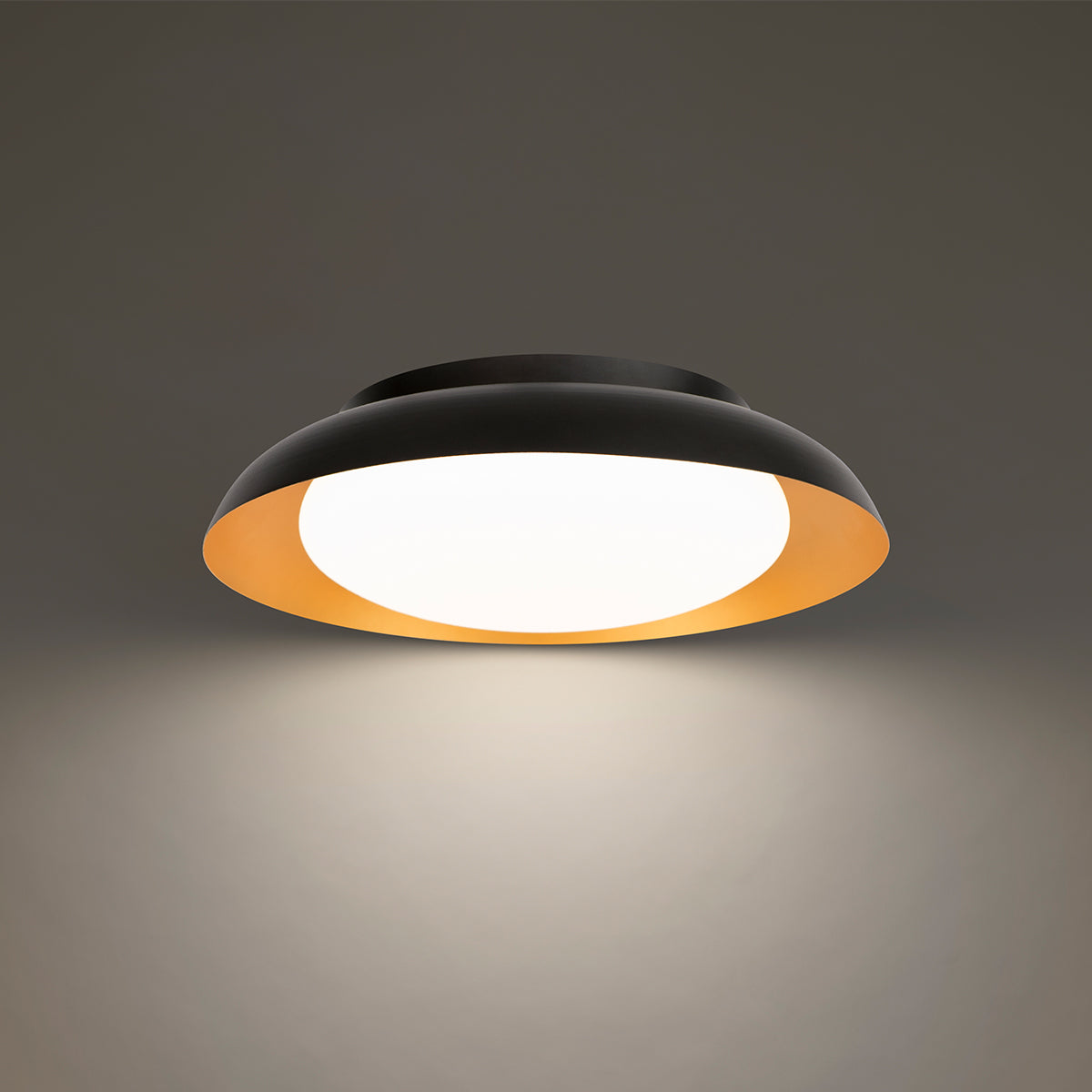 Taurus Flush Mount