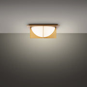 Echelon Flush Mount