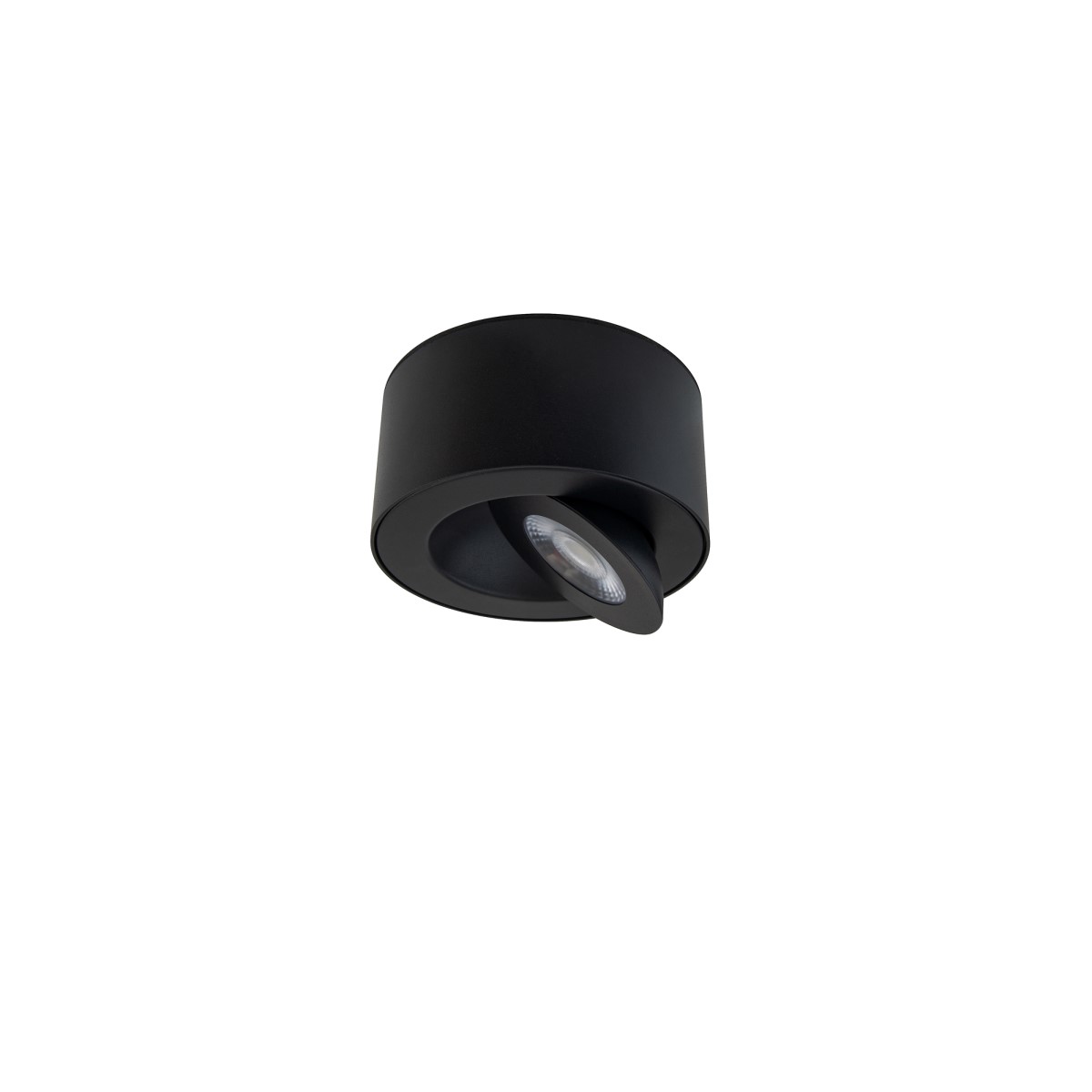 I Spy Outdoor Flush Mount Black
