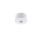 I Spy Outdoor Flush Mount Black