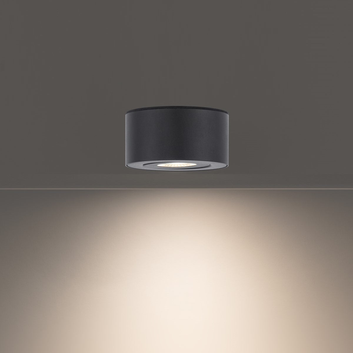 I Spy Outdoor Flush Mount Black