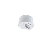 I Spy Outdoor Flush Mount White