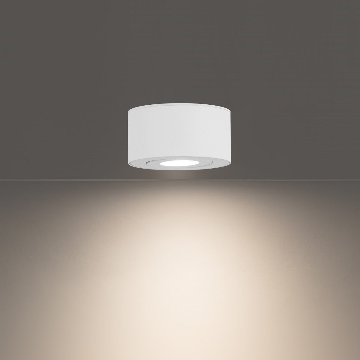 I Spy Outdoor Flush Mount White