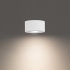 I Spy Outdoor Flush Mount White