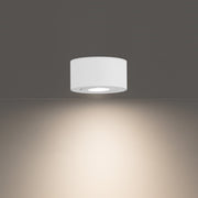 I Spy Outdoor Flush Mount White