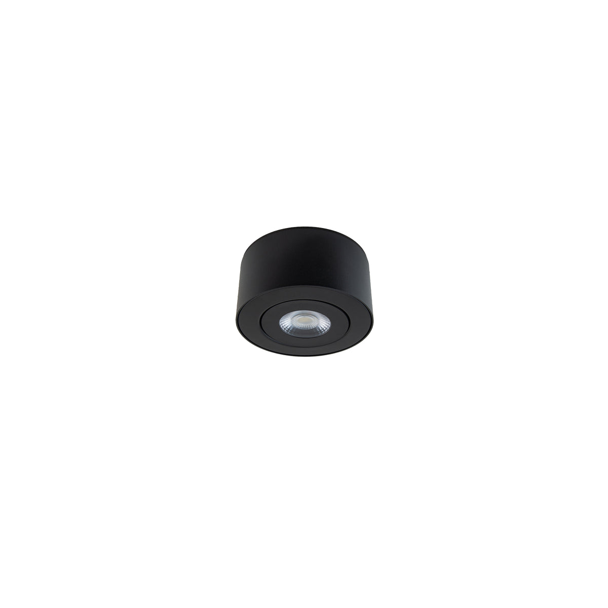 Peek Outdoor Ceiling Mount Black