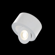 Peek Outdoor Ceiling Mount White
