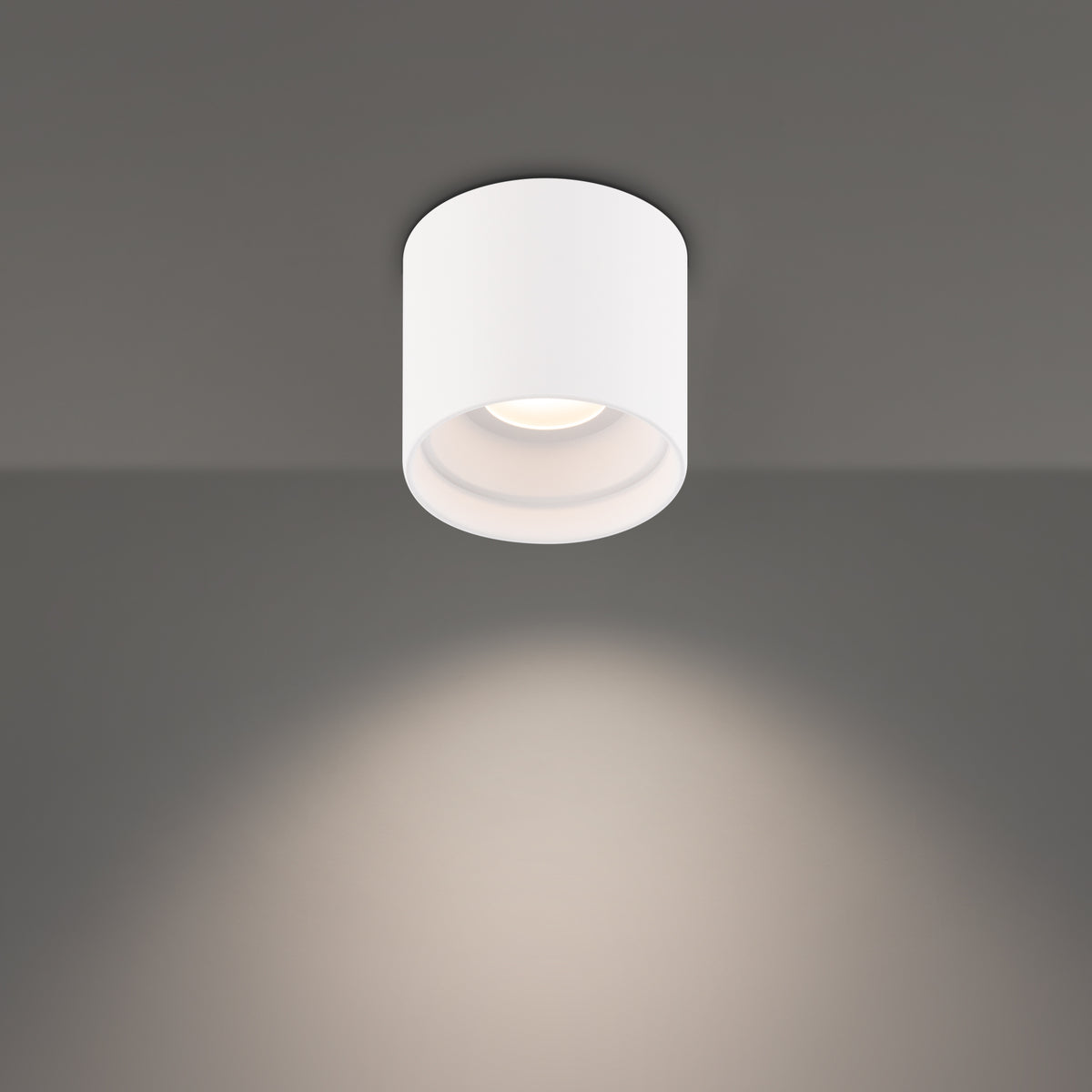 Squat Outdoor Flush Mount