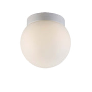 Niveous Ceiling and Wall Mount 6in