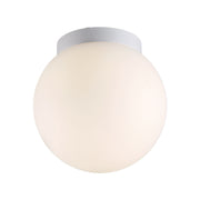 Niveous Ceiling and Wall Mount 9in