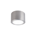 Vessel Outdoor Flush Mount