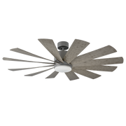 Windflower Ceiling Fan