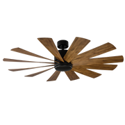 Windflower Ceiling Fan