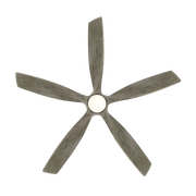 Zephyr 5 Ceiling Fan