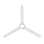 Bolo Ceiling Fan - Matte White Angle 5