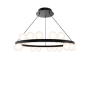 Carousel Chandelier