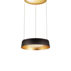 Gilt Up and Down Lgt Pendant
