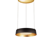 Gilt Up and Down Lgt Pendant