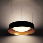Gilt Up and Down Lgt Pendant