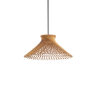 Zenya Pendant