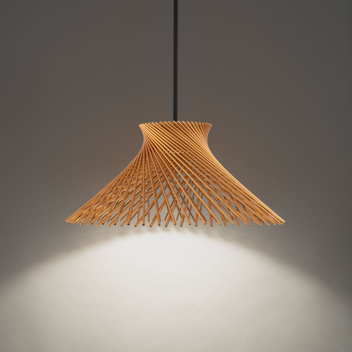 Zenya Pendant