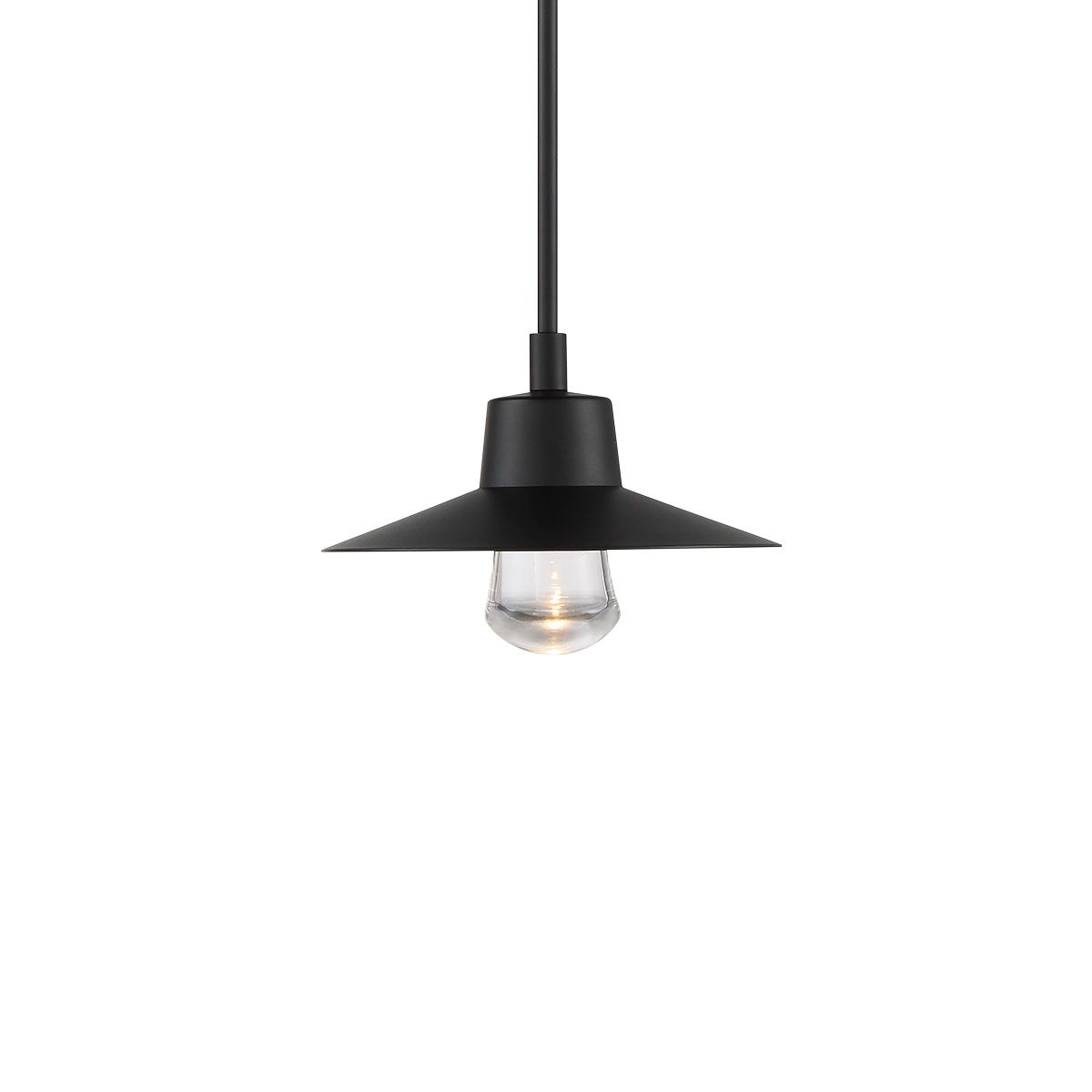 Suspense In/Outdoor Pendant
