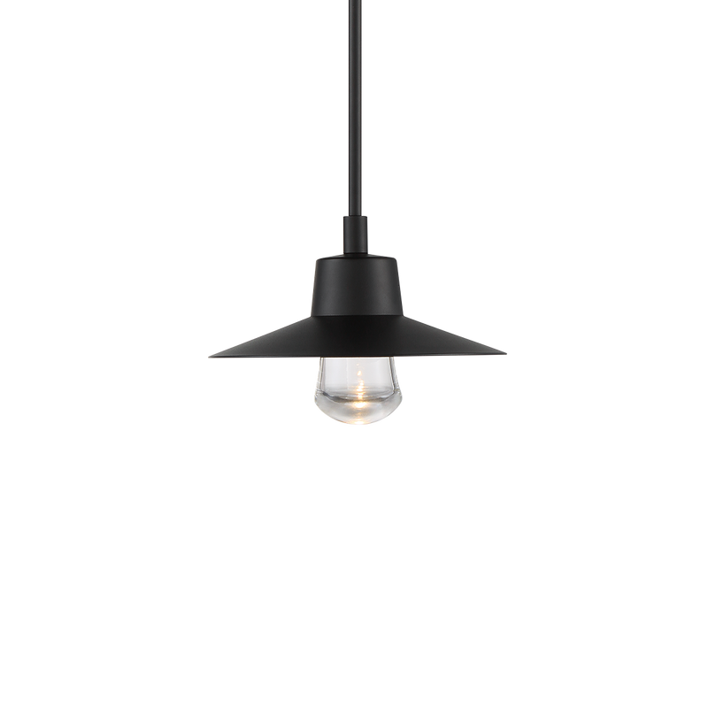 Suspense In/Outdoor Pendant