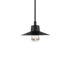 Suspense In/Outdoor Pendant
