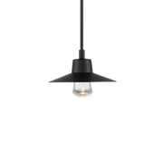 Suspense In/Outdoor Pendant