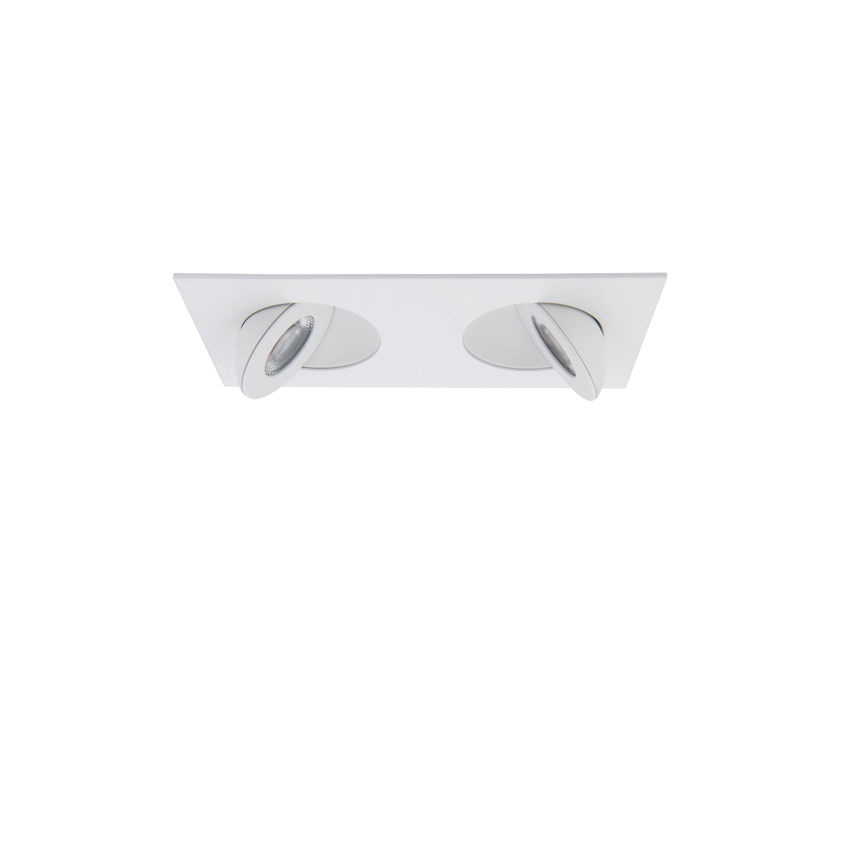 Lotos 2in Adjustable Downlight - Square 2-Light