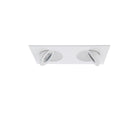 Lotos 2in Adjustable Downlight - Square 2-Light