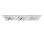 Lotos 2in Adjustable Downlight - Square 3-Light