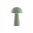 Darla Indoor/Outdoor Table Lamp - Green