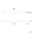 Emblem Vanity/Sconce