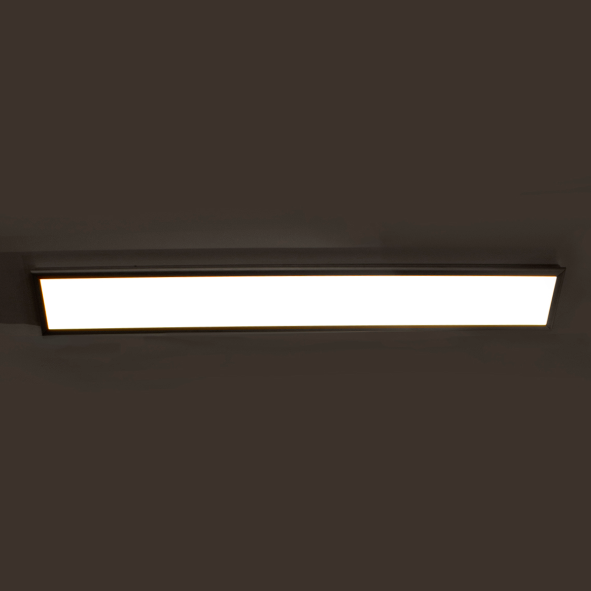 Neo Vanity/Sconce