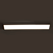 Neo Vanity/Sconce